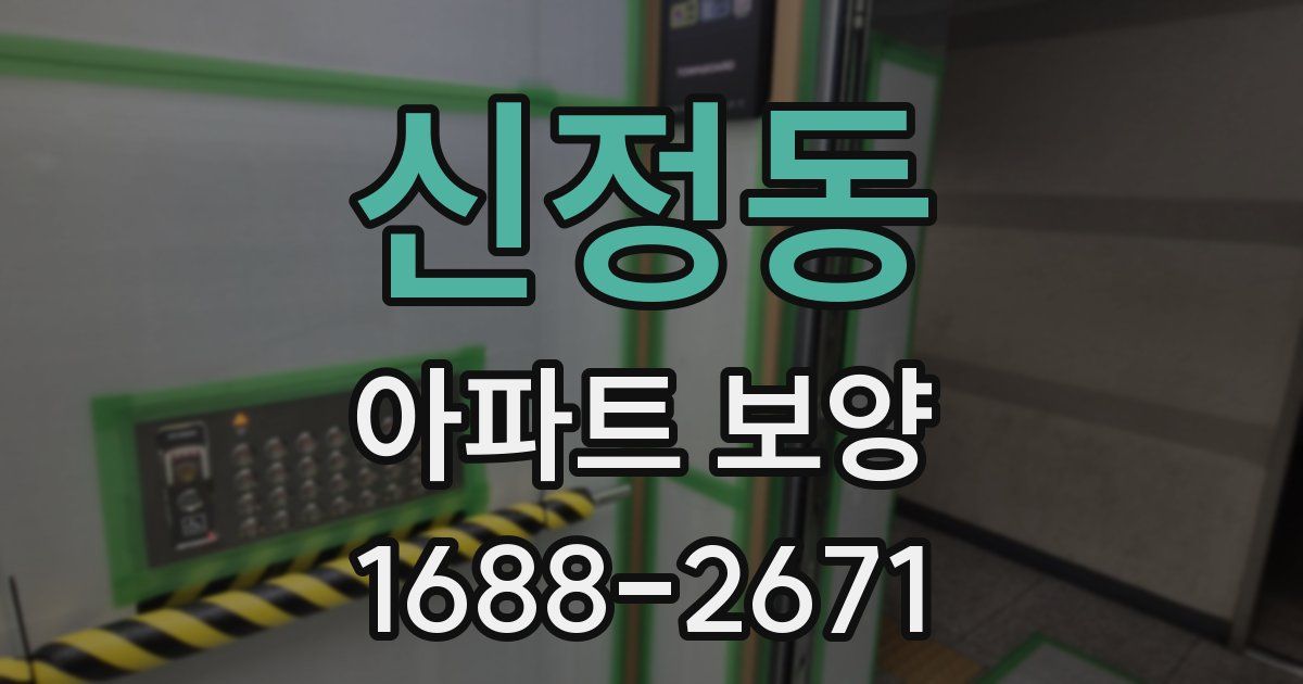 신정동 아파트 보양