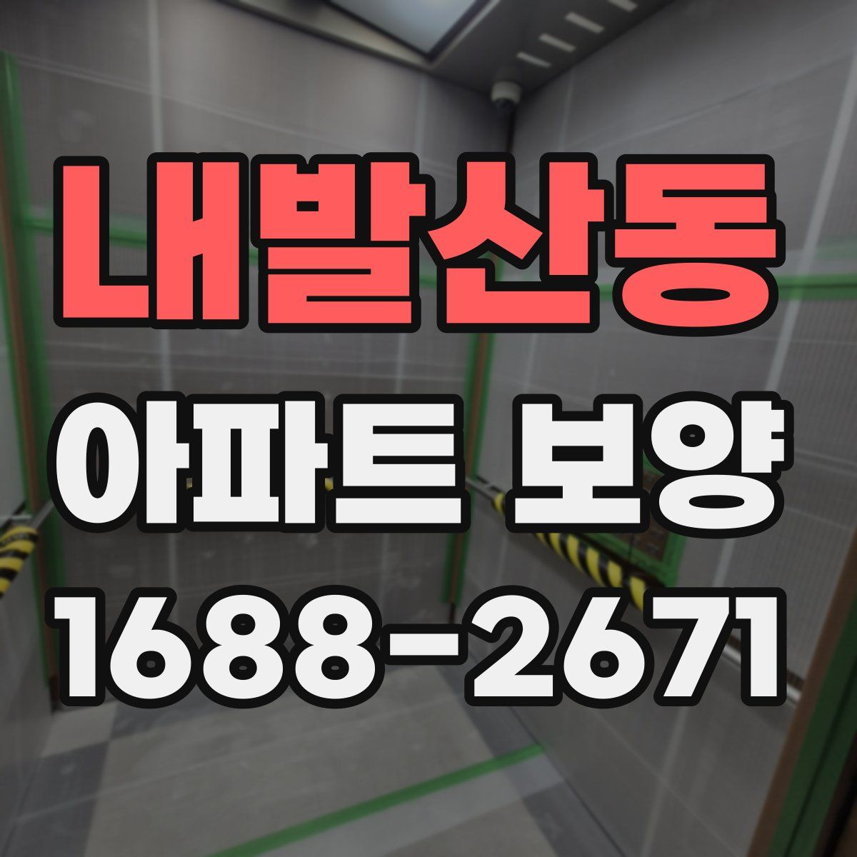 내발산동 아파트 보양