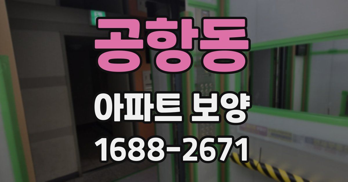 공항동 아파트 보양