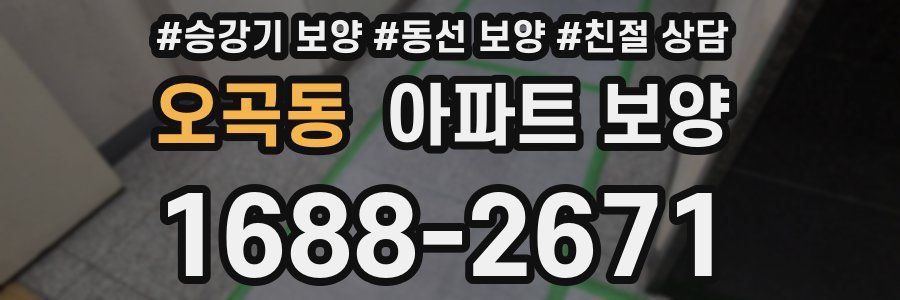 오곡동 아파트 보양