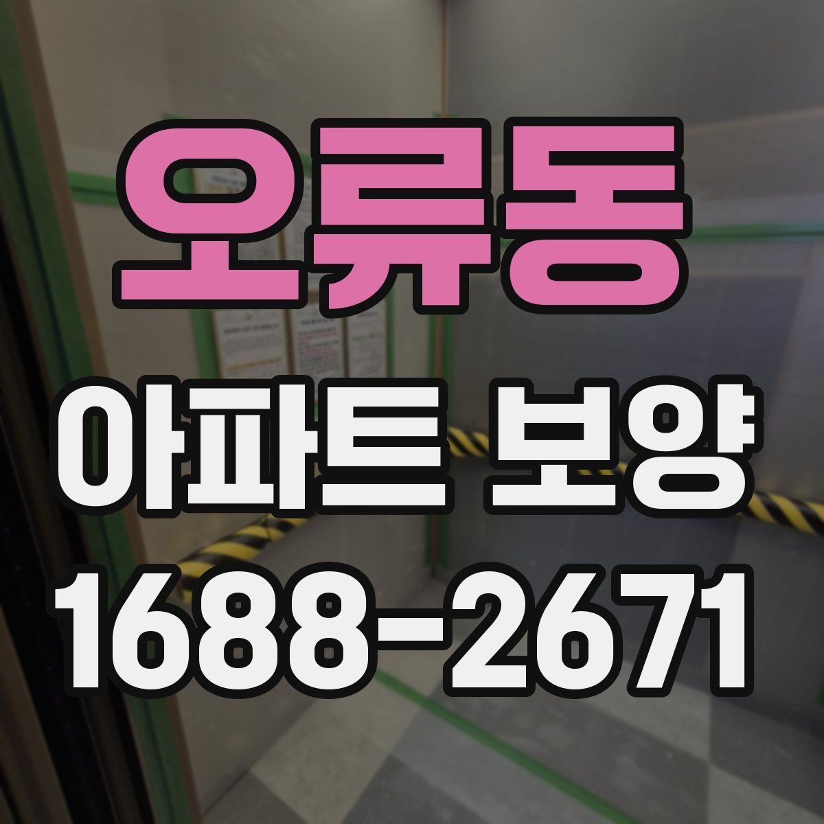 오류동 아파트 보양
