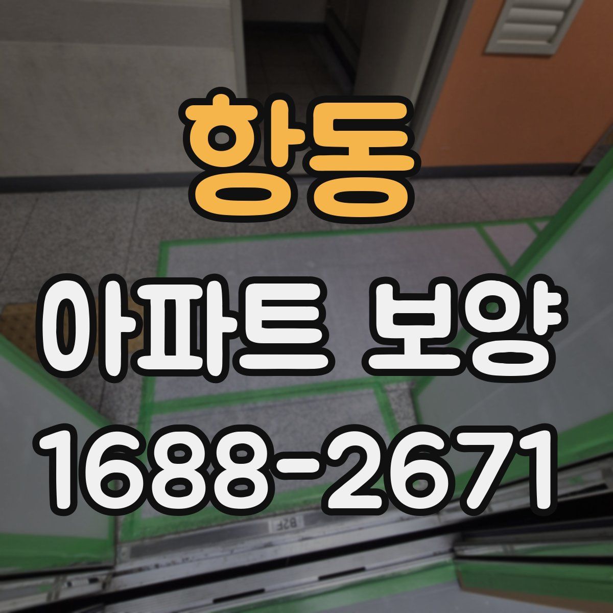 항동 아파트 보양