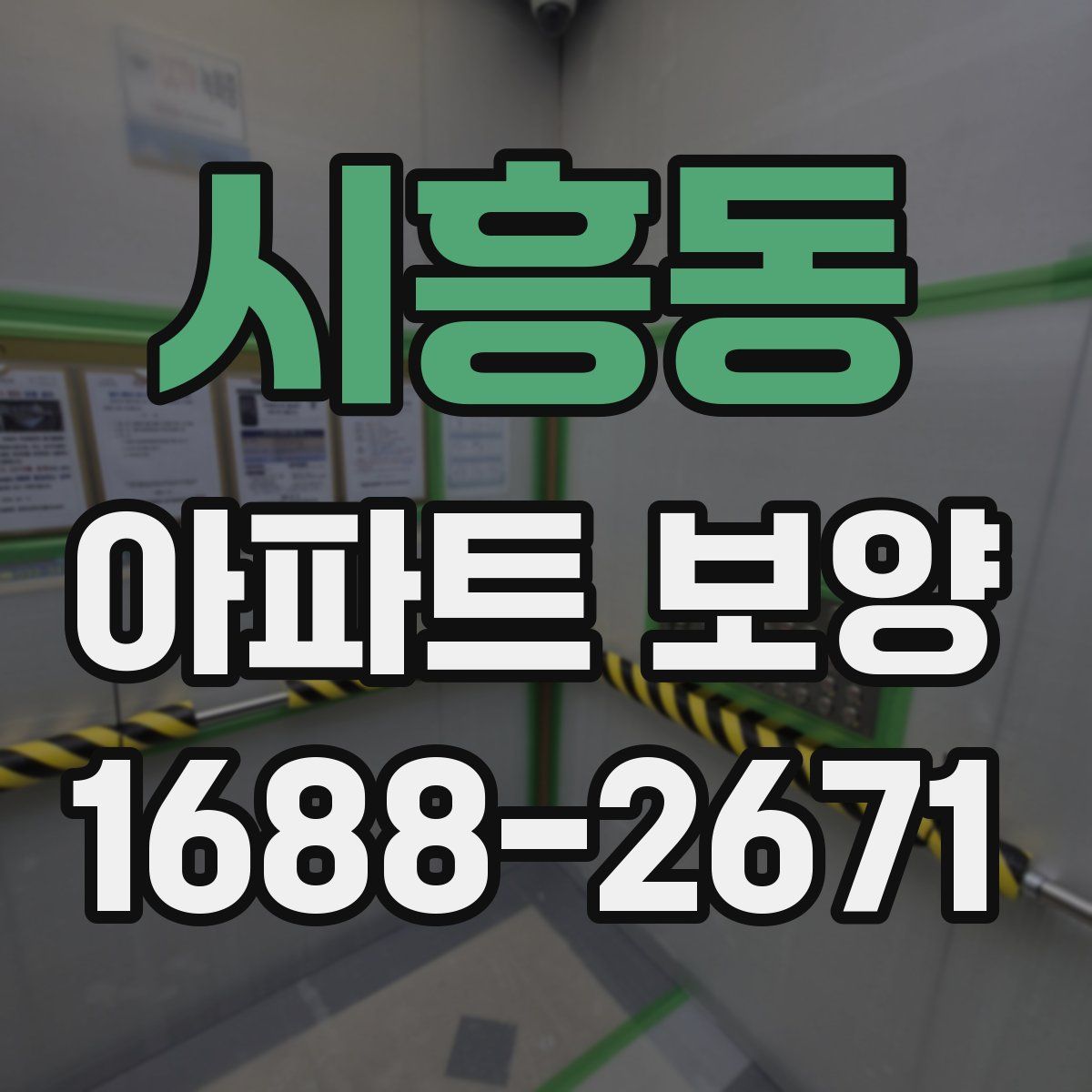 시흥동 아파트 보양