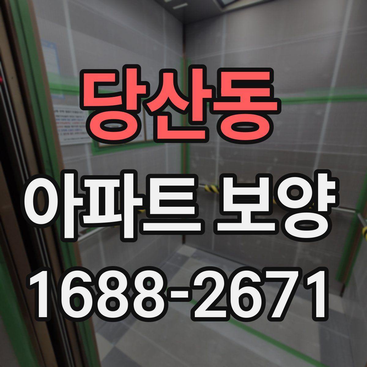 당산동 아파트 보양