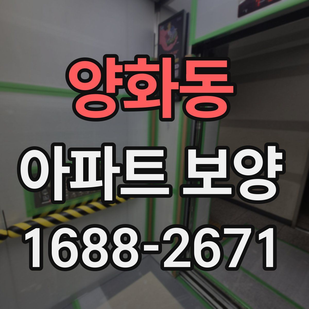 양화동 아파트 보양