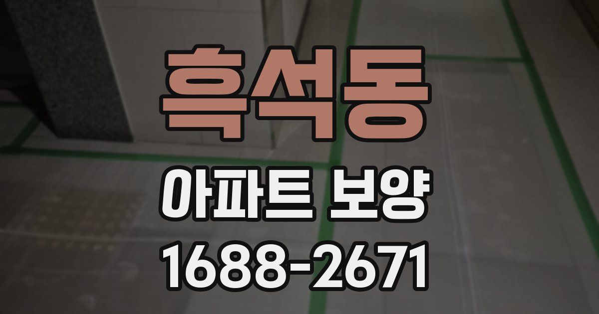 흑석동 아파트 보양