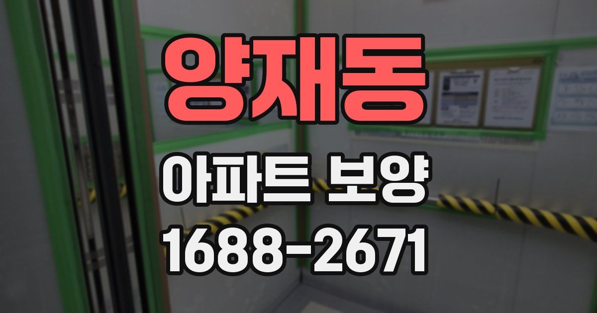 양재동 아파트 보양