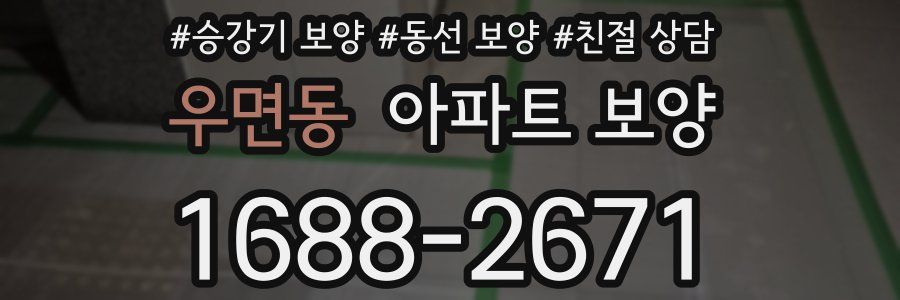 우면동 아파트 보양