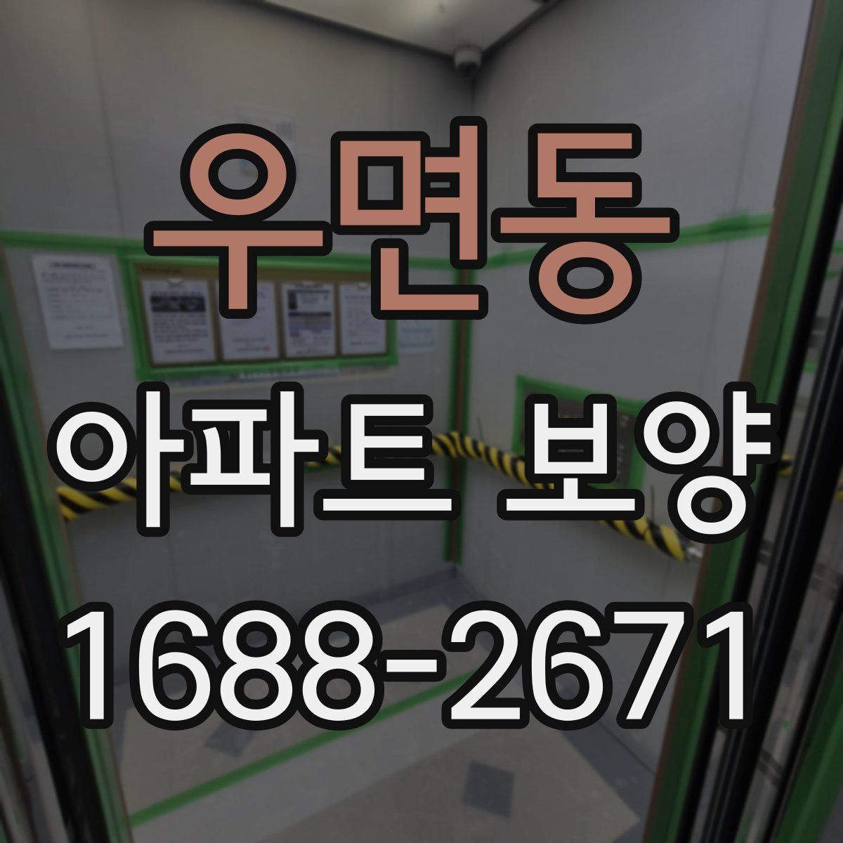 우면동 아파트 보양