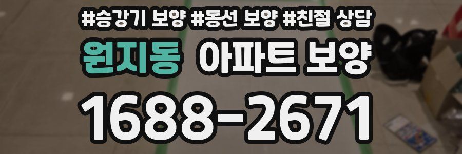 원지동 아파트 보양