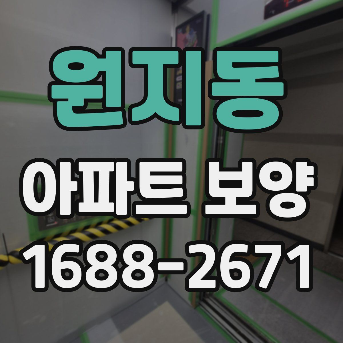원지동 아파트 보양