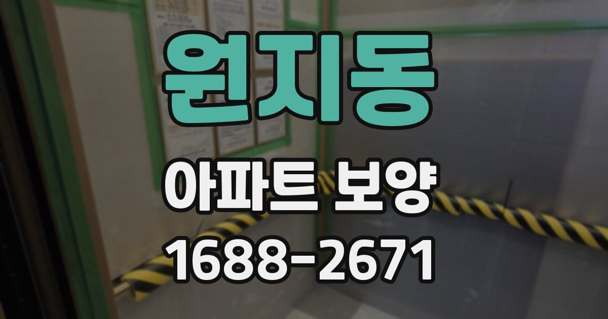 원지동 아파트 보양