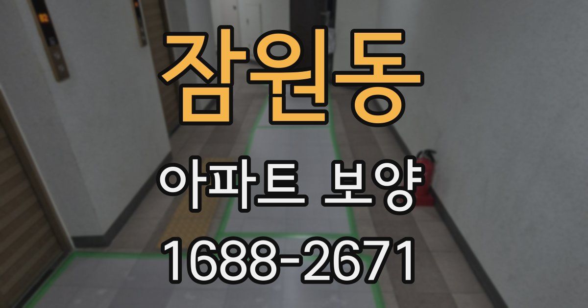 잠원동 아파트 보양