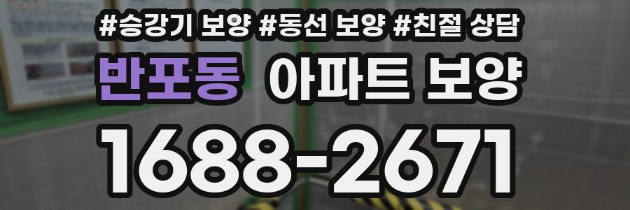 반포동 아파트 보양