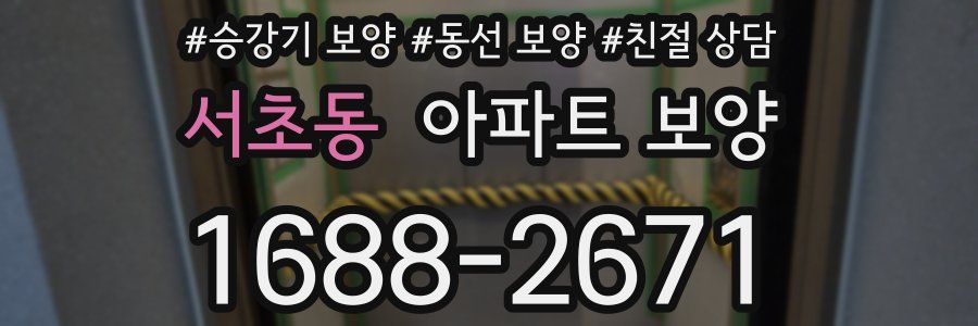 서초동 아파트 보양