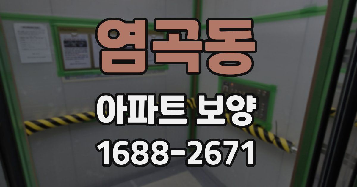 염곡동 아파트 보양