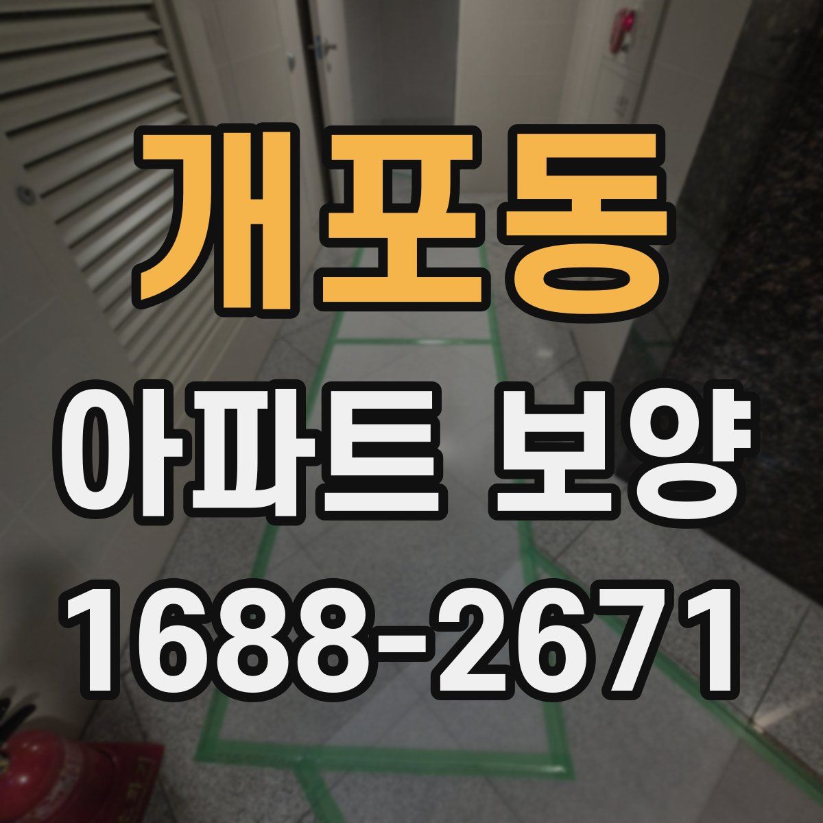 개포동 아파트 보양