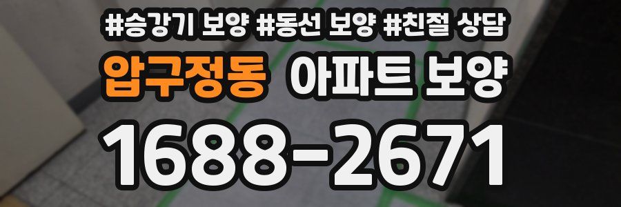 압구정동 아파트 보양