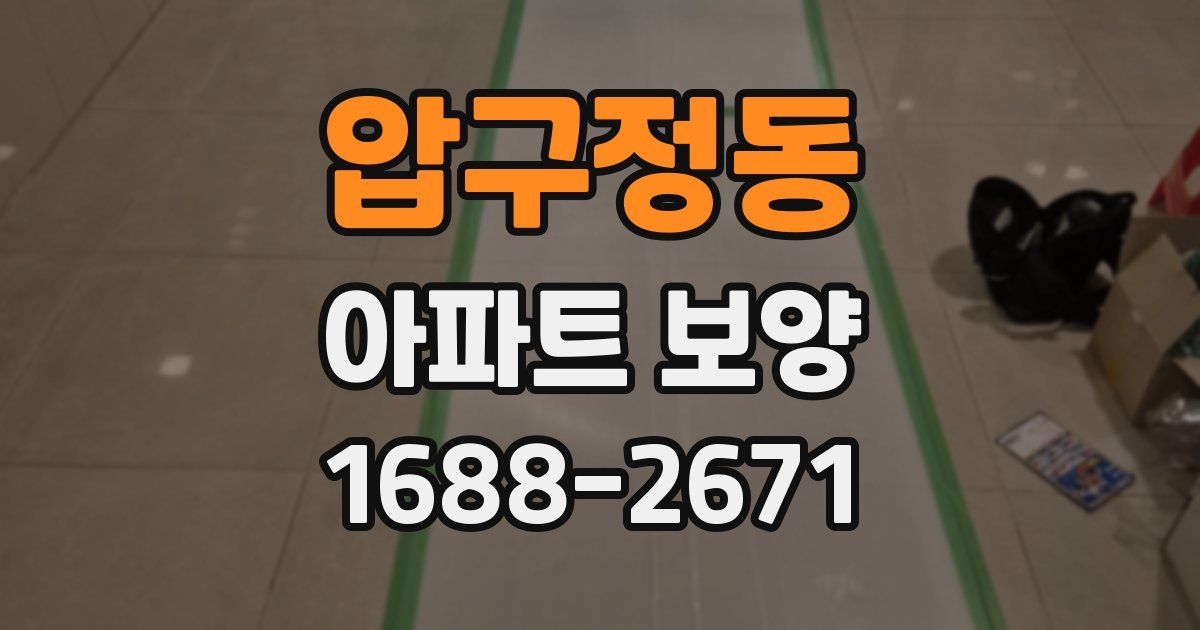 압구정동 아파트 보양