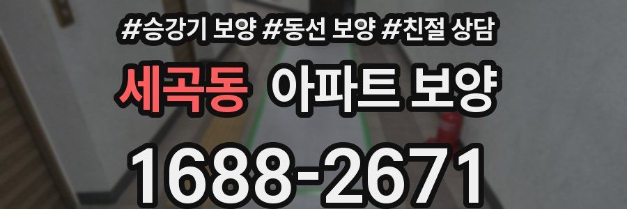 세곡동 아파트 보양