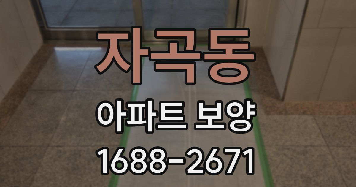 자곡동 아파트 보양