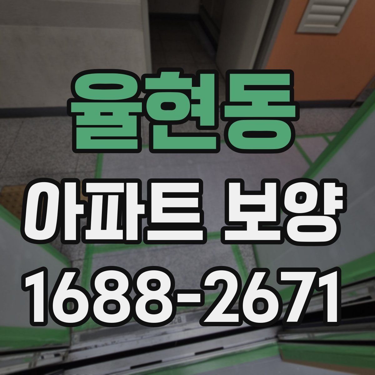 율현동 아파트 보양