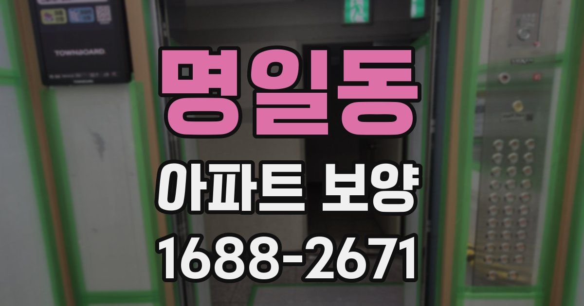 명일동 아파트 보양