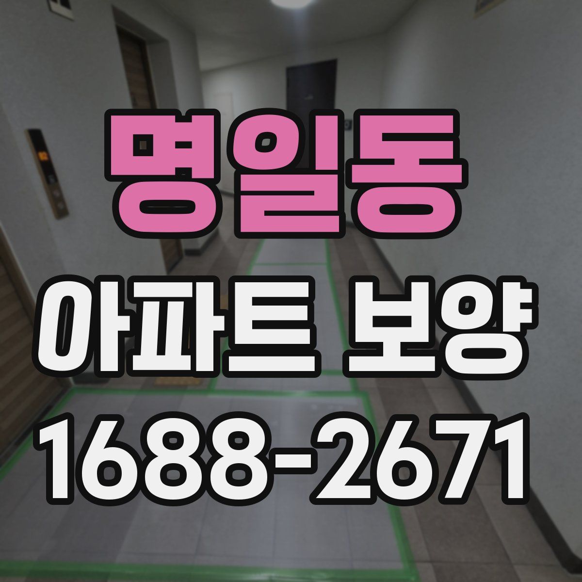 명일동 아파트 보양