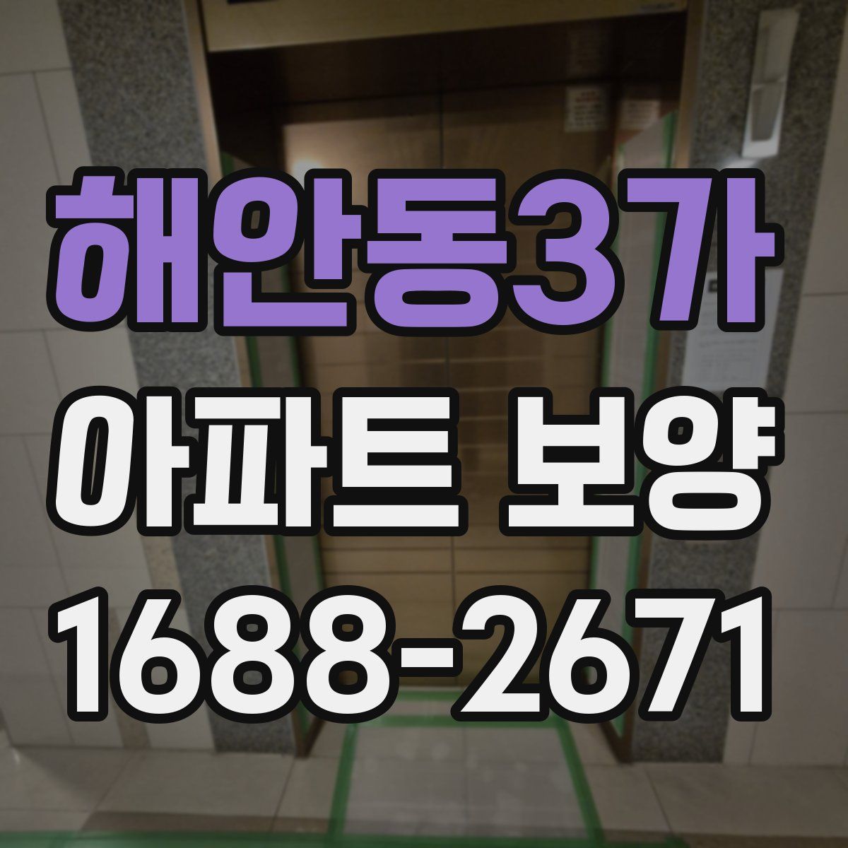 해안동3가 아파트 보양