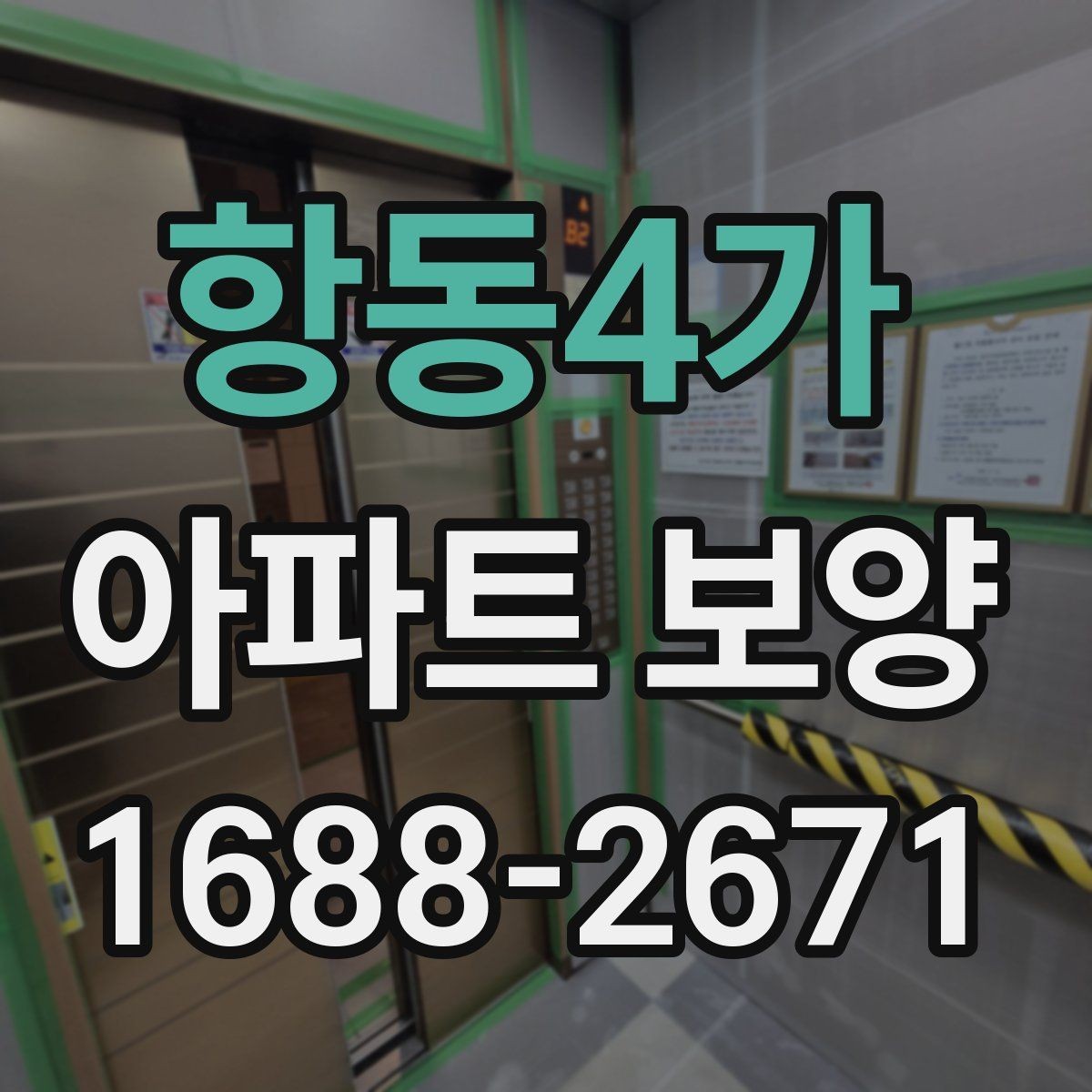항동4가 아파트 보양 작업 중 손상 방지를 위한 팁
