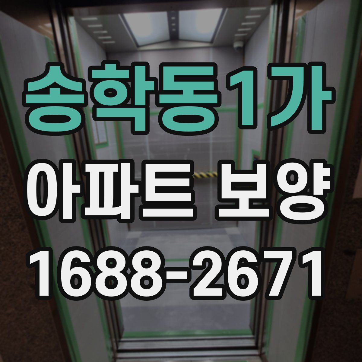 송학동1가 아파트 보양