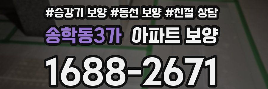 송학동3가 아파트 보양