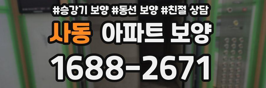사동 아파트 보양