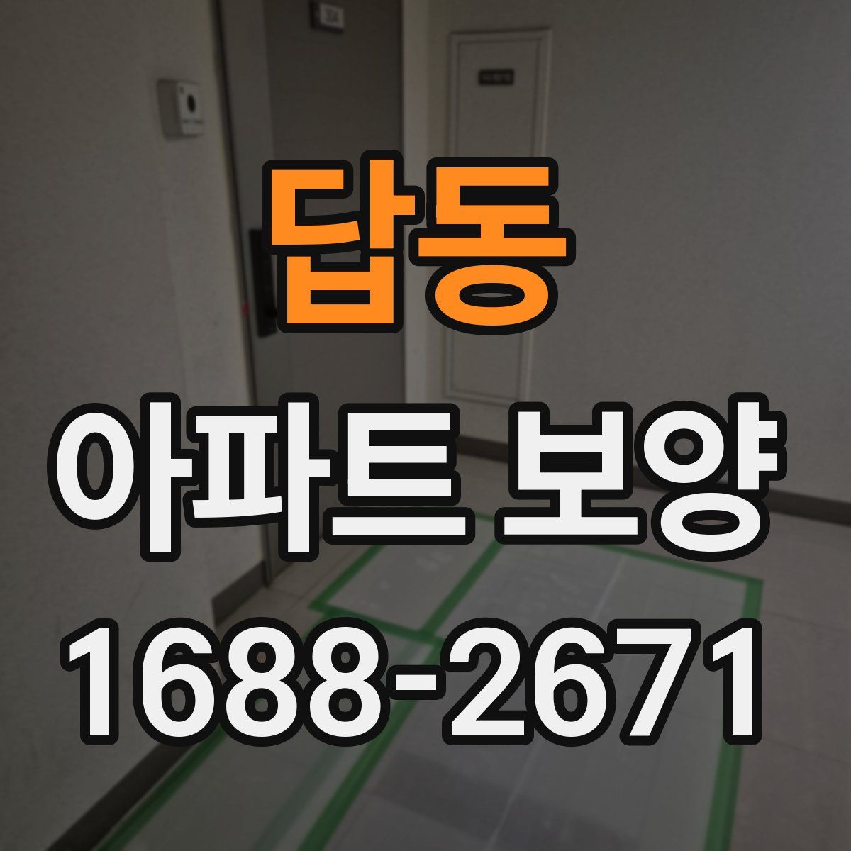 답동 아파트 보양
