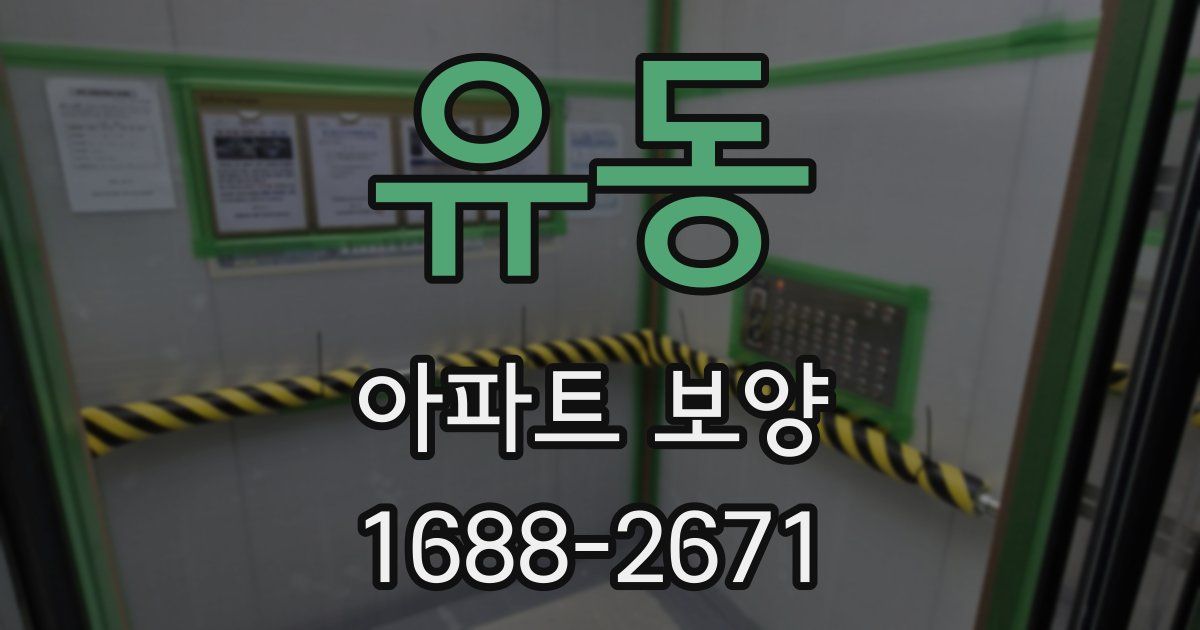 유동 아파트 보양