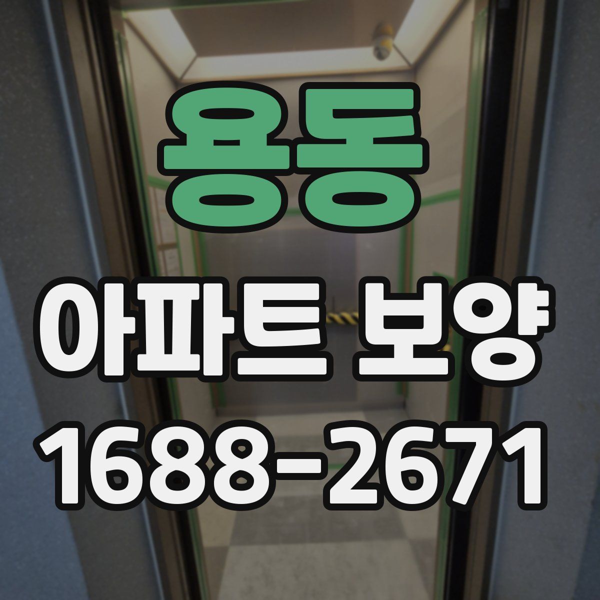 용동 아파트 보양