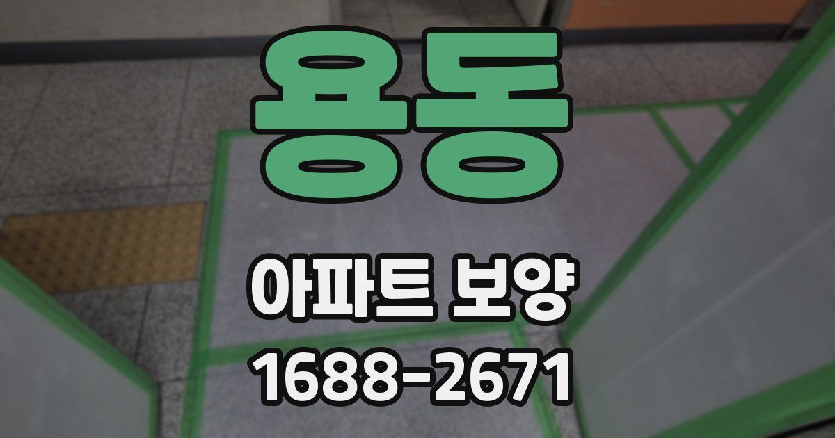 용동 아파트 보양