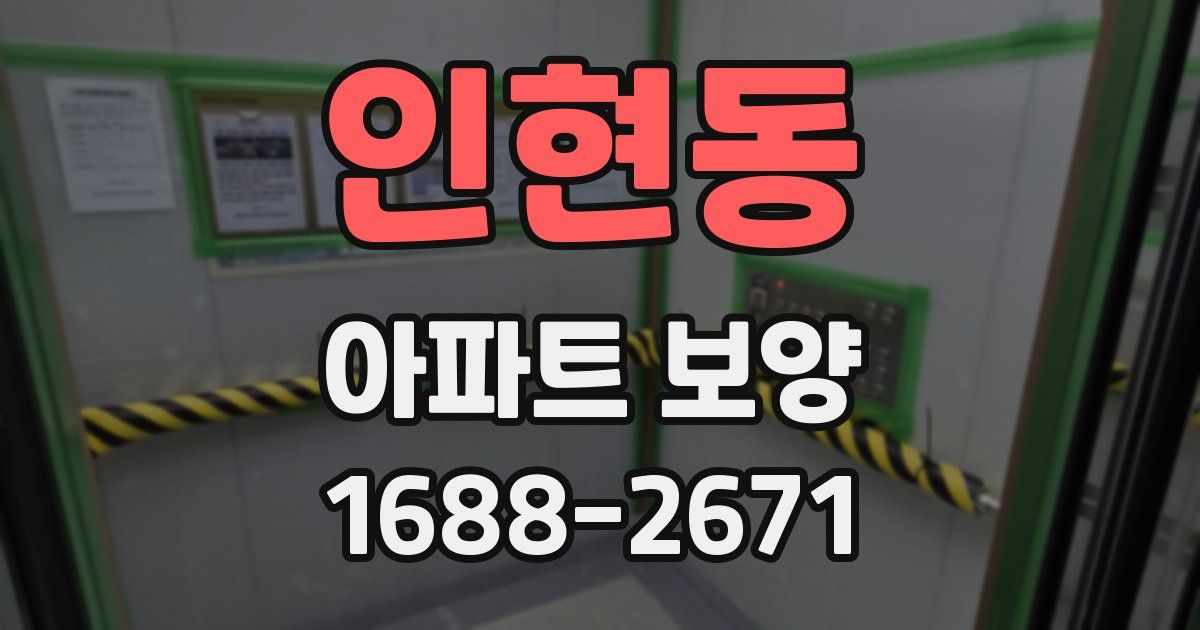 인현동 아파트 보양
