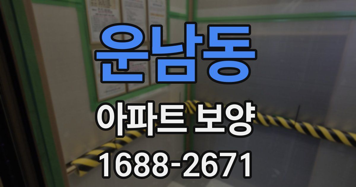 운남동 아파트 보양