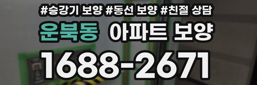 운북동 아파트 보양