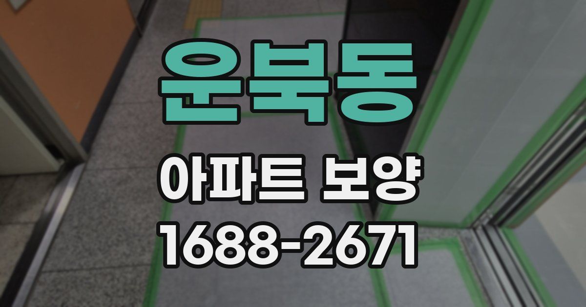 운북동 아파트 보양