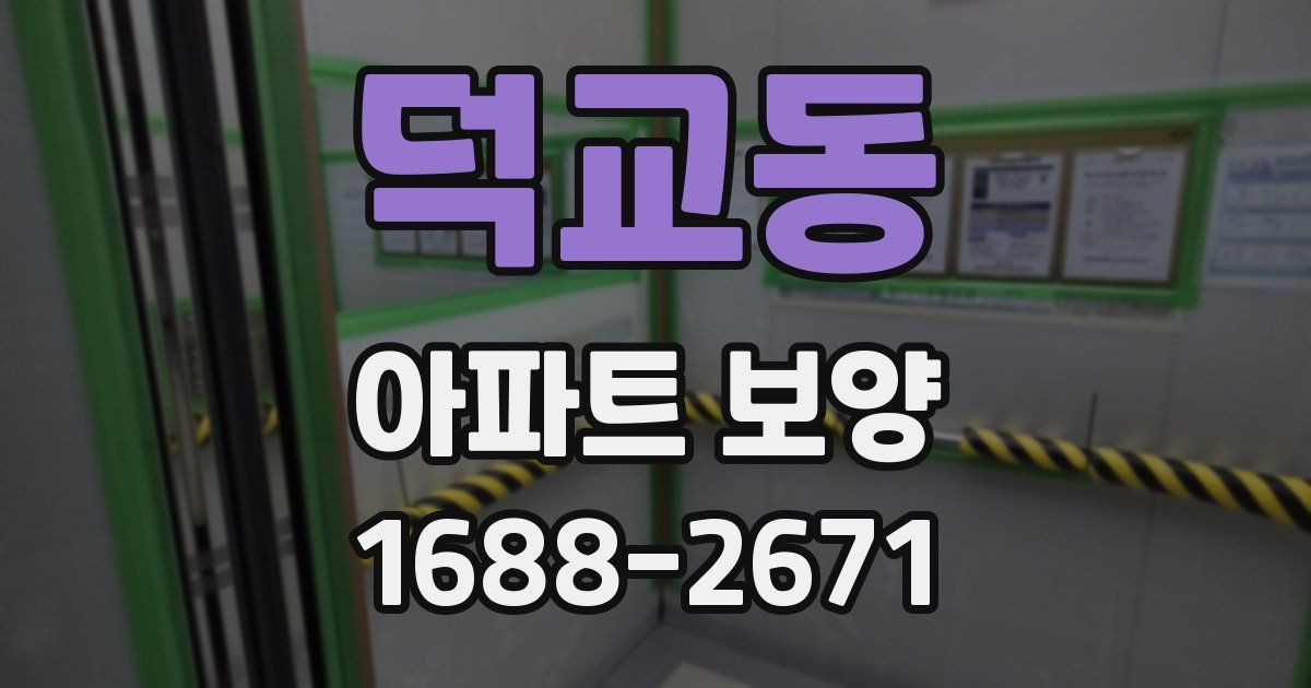 덕교동 아파트 보양