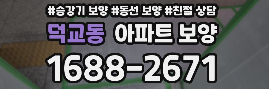 덕교동 아파트 보양