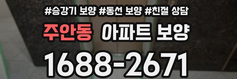 주안동 아파트 보양