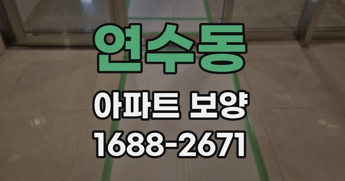 연수동 아파트 보양