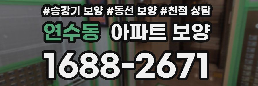 연수동 아파트 보양
