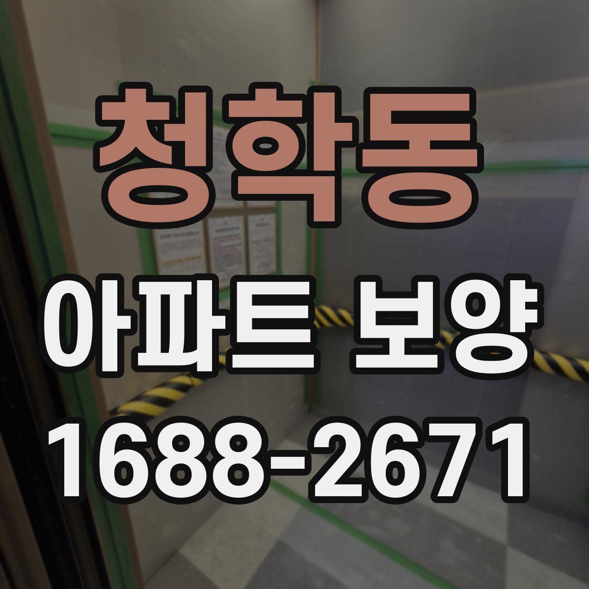 청학동 아파트 보양
