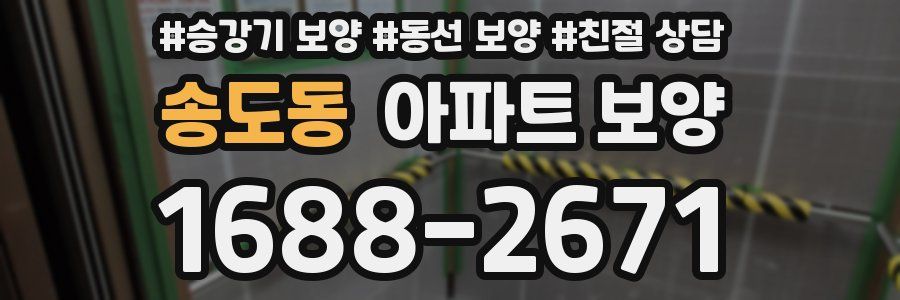 송도동 아파트 보양