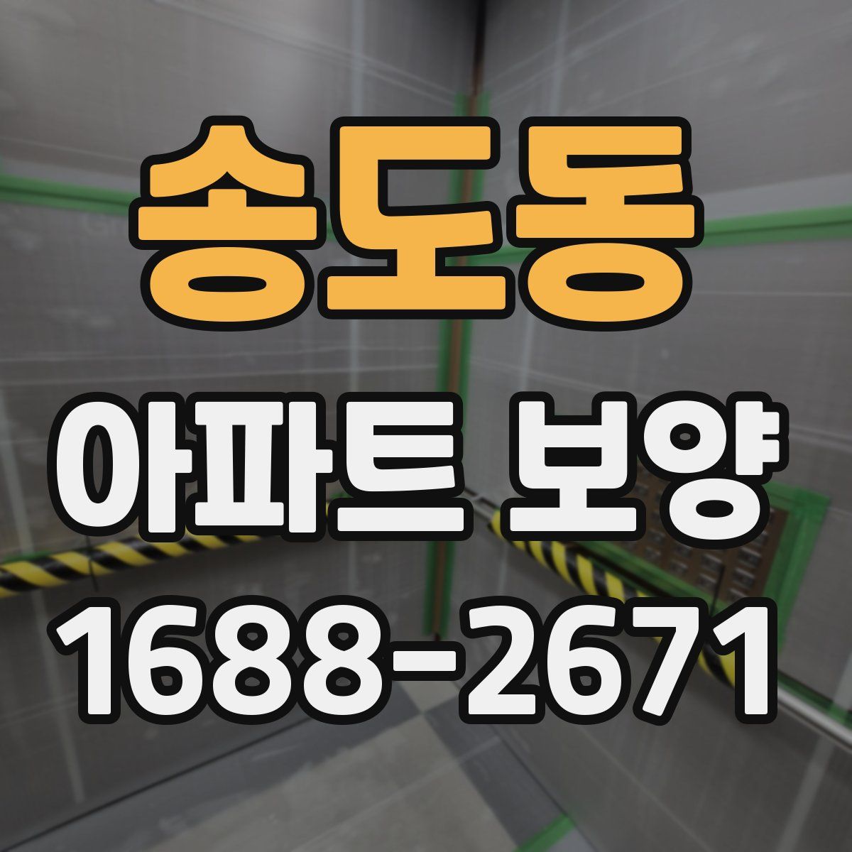 송도동 아파트 보양