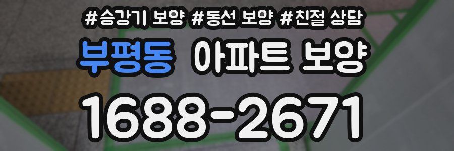 부평동 아파트 보양